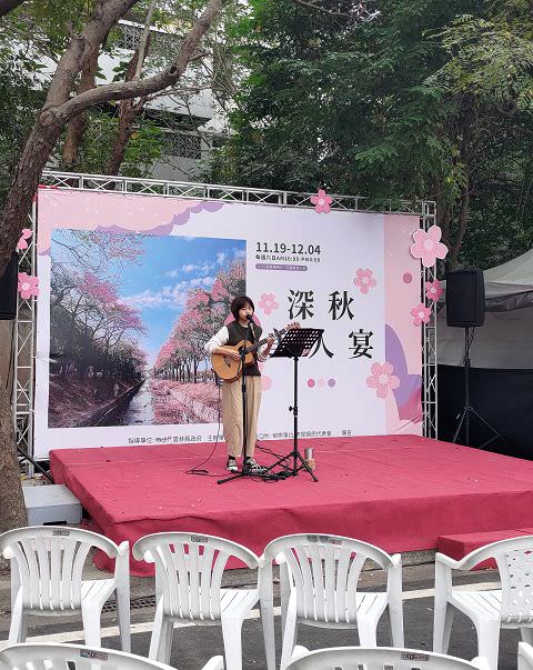 雲嘉南輕旅（4）虎尾美人樹大道
