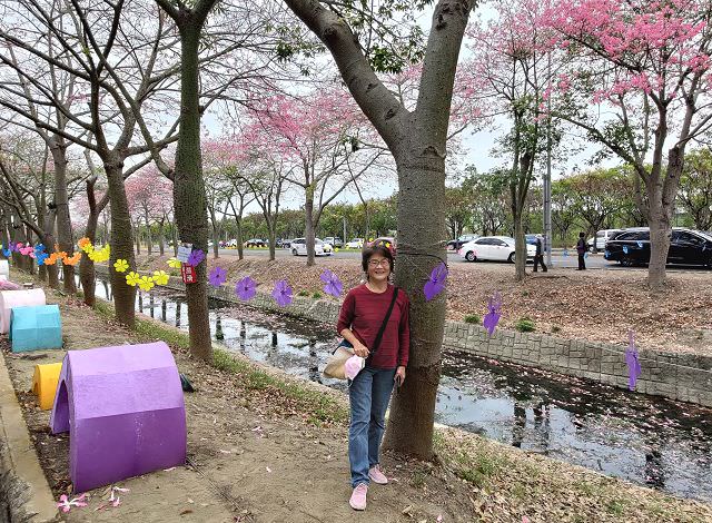 雲嘉南輕旅（4）虎尾美人樹大道