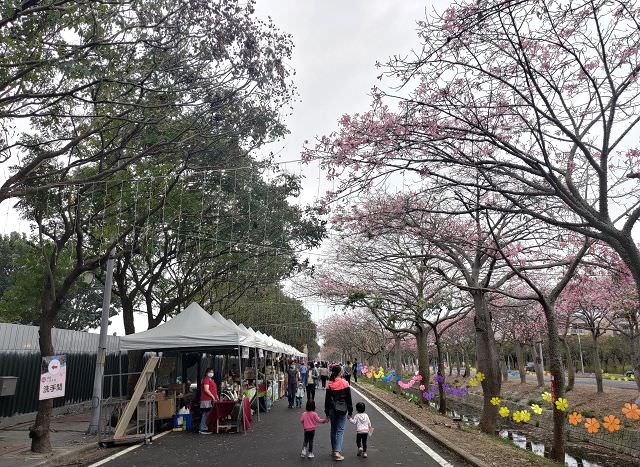 雲嘉南輕旅（4）虎尾美人樹大道