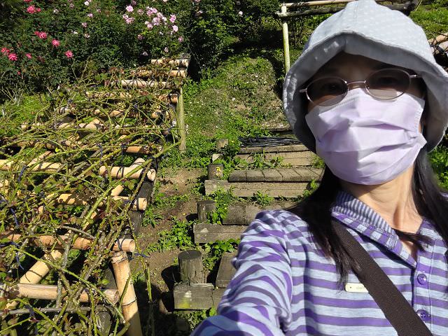 苗栗𨑨迌趣