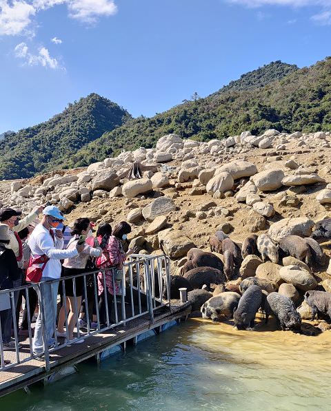 雲嘉南輕旅（11）曾文水庫（二）
