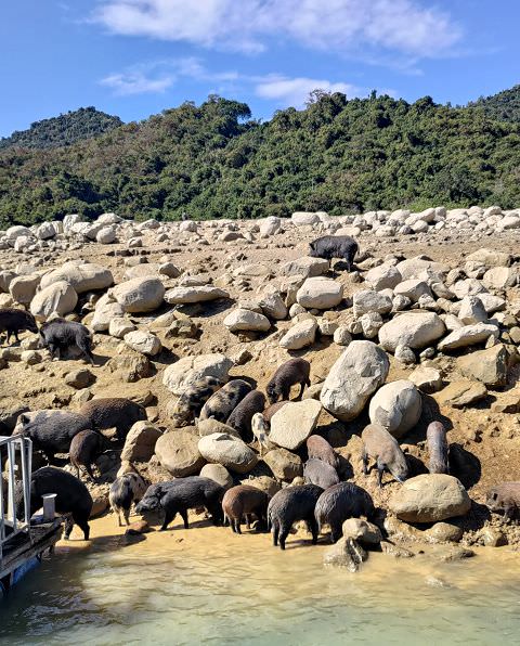 雲嘉南輕旅（11）曾文水庫（二）