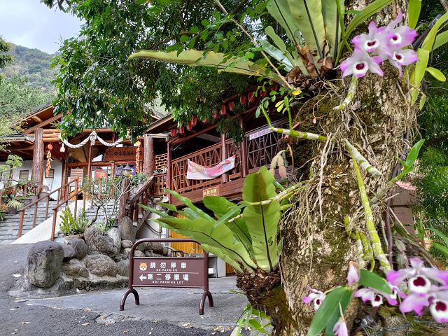 南台、東台五日遊（2）行程簡述（一）