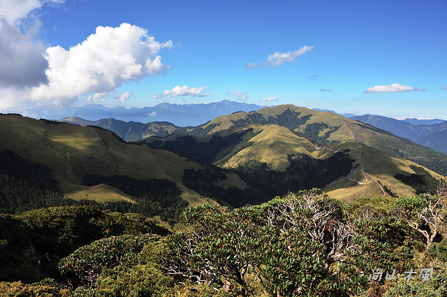 合歡山（14）合歡東峰