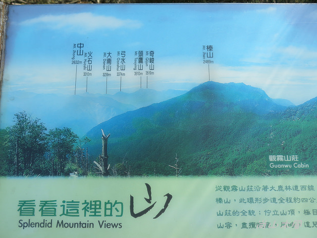 觀霧（8）雲霧步道