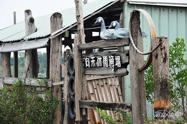 漫遊東石、布袋（三）鰲鼓溼地（2）