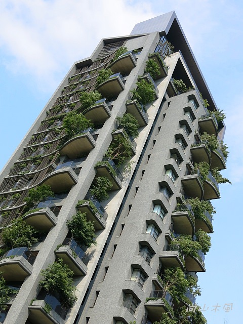 竹北，樹院子