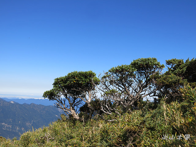合歡山（14）合歡東峰