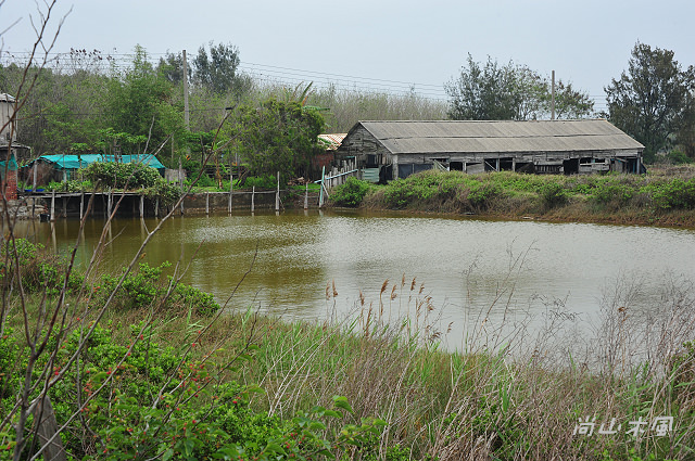 漫遊東石、布袋（三）鰲鼓溼地（2）