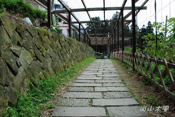 賞櫻到阿里山（三）漫晃在奮起湖