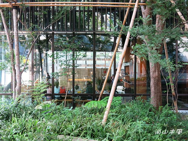 竹北，樹院子