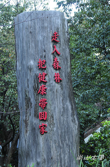 惠蓀林場（三）步道之旅