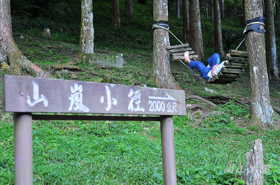 惠蓀林場（三）步道之旅