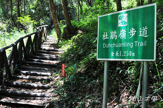 惠蓀林場（四）觀景台／杜鵑嶺步道