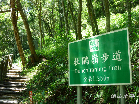 惠蓀林場（四）觀景台／杜鵑嶺步道