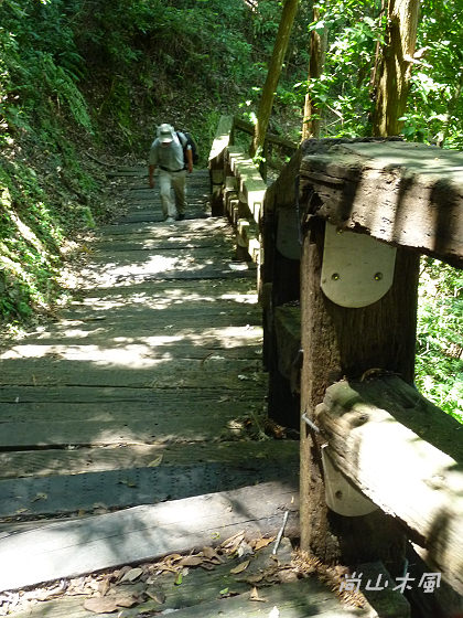 惠蓀林場（四）觀景台／杜鵑嶺步道