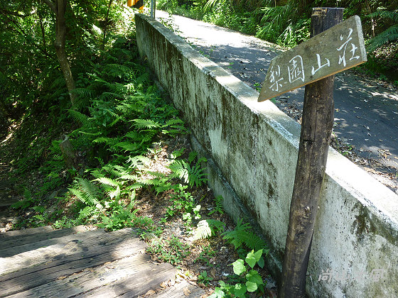惠蓀林場（四）觀景台／杜鵑嶺步道