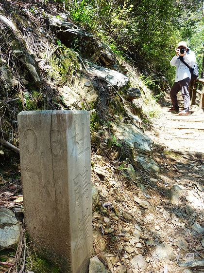惠蓀林場（四）觀景台／杜鵑嶺步道