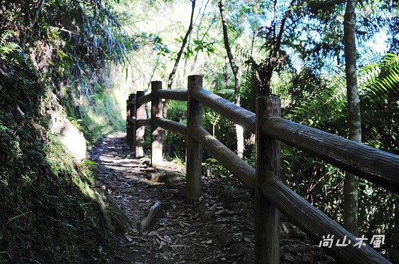 惠蓀林場（六）山嵐小徑