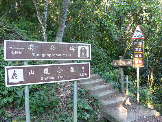 惠蓀林場（六）山嵐小徑