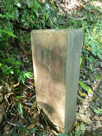 惠蓀林場（六）山嵐小徑