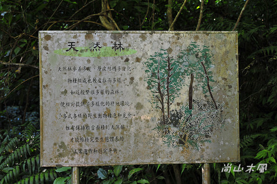 惠蓀林場（六）山嵐小徑