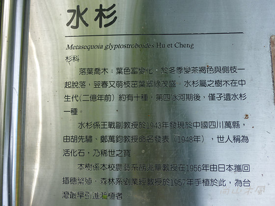 惠蓀林場（七）穿街走巷