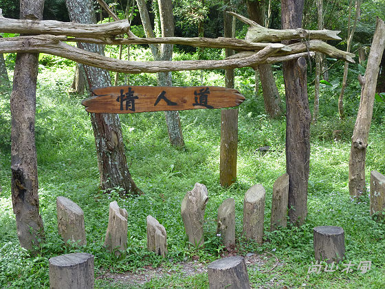 惠蓀林場（七）穿街走巷