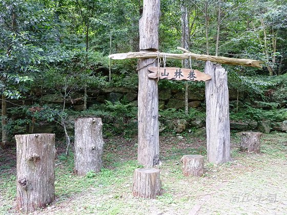 惠蓀林場（七）穿街走巷