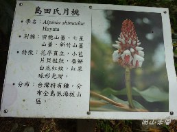 惠蓀林場（七）穿街走巷