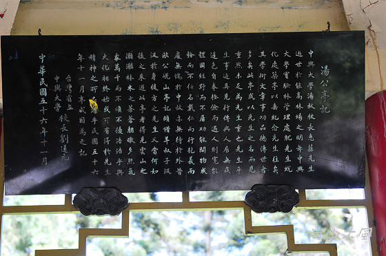 惠蓀林場（七）穿街走巷