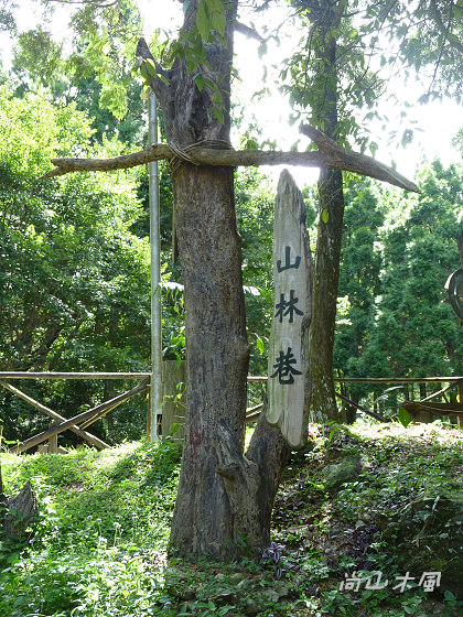 惠蓀林場（七）穿街走巷