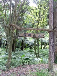 惠蓀林場（七）穿街走巷