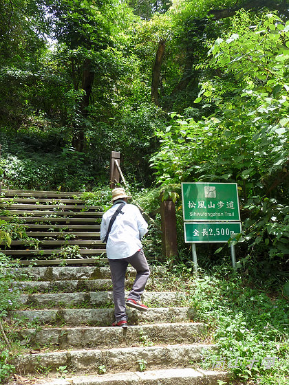 惠蓀林場（八）松風山步道