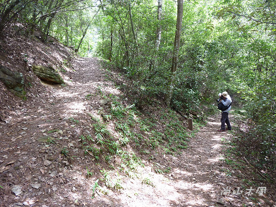 惠蓀林場（八）松風山步道