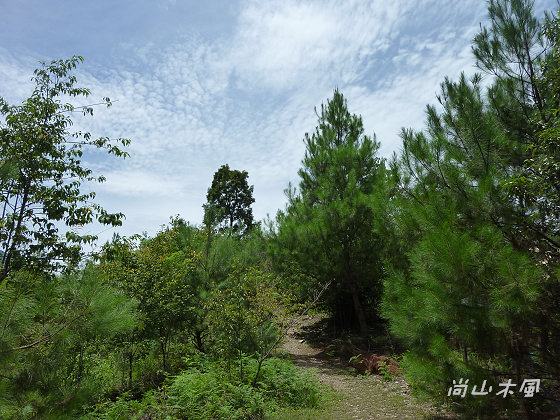 惠蓀林場（八）松風山步道