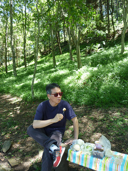 惠蓀林場（九）步道之外