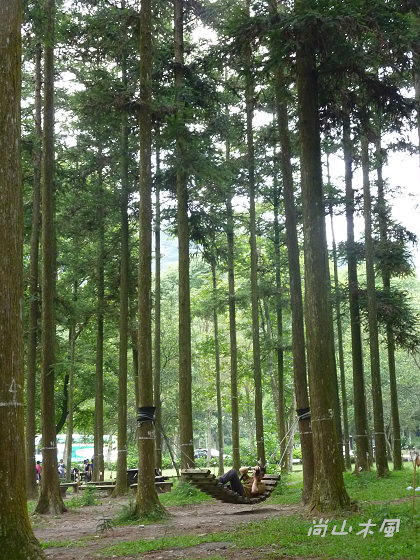 惠蓀林場（九）步道之外