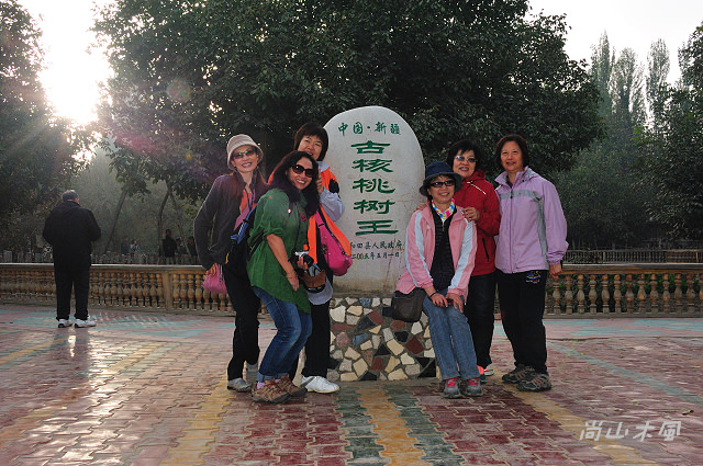 大漠南疆（35）核桃樹王公園