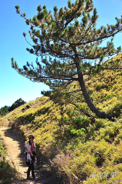合歡山（14）合歡東峰