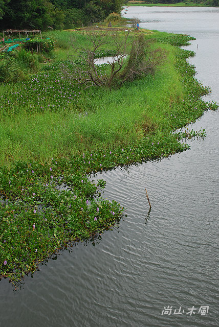 閒逛，峨眉湖