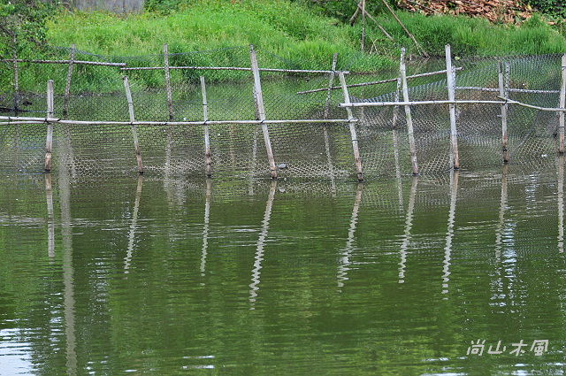 閒逛，峨眉湖