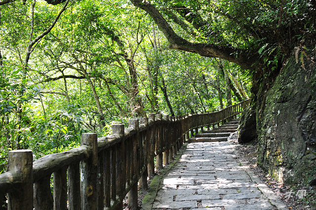 滿月圓，圓滿（三）步道飛瀑