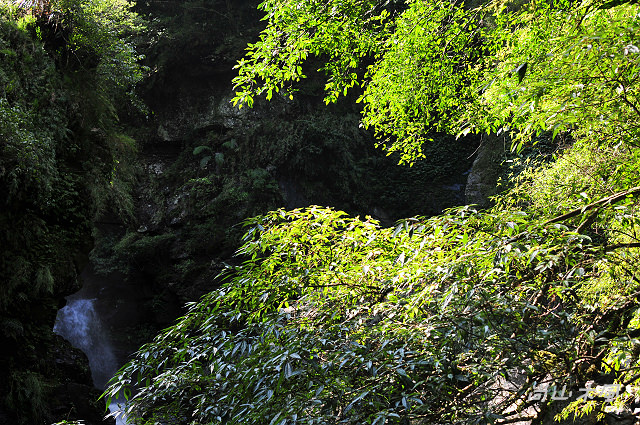 滿月圓，圓滿（三）步道飛瀑