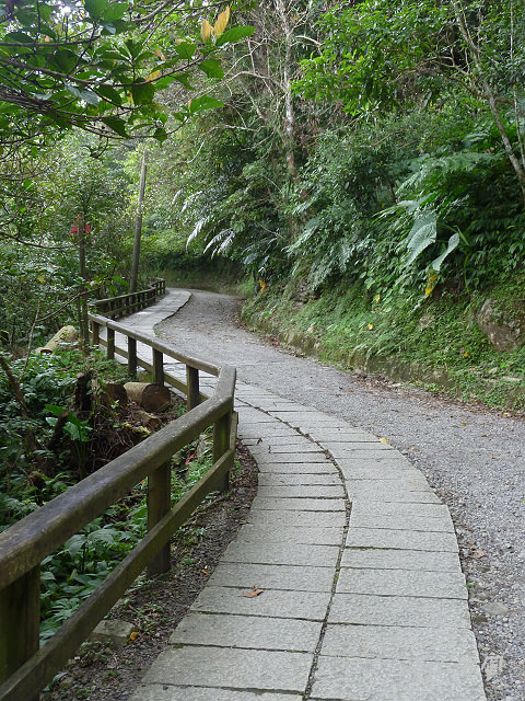 滿月圓，圓滿（三）步道飛瀑