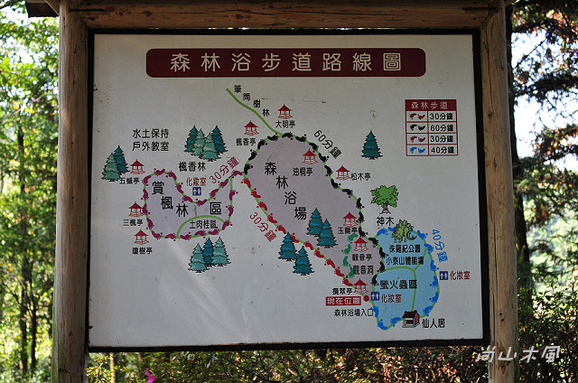 東勢林場（一）四顧林場