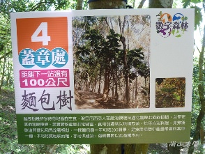 東勢林場（三）森林浴場