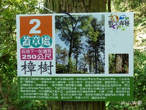 東勢林場（三）森林浴場