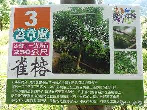 東勢林場（三）森林浴場