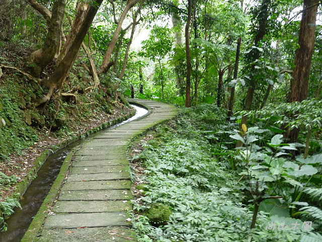 青山瀑布（二）水圳步道